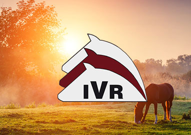 Vortrag „Best Practice Instagram“