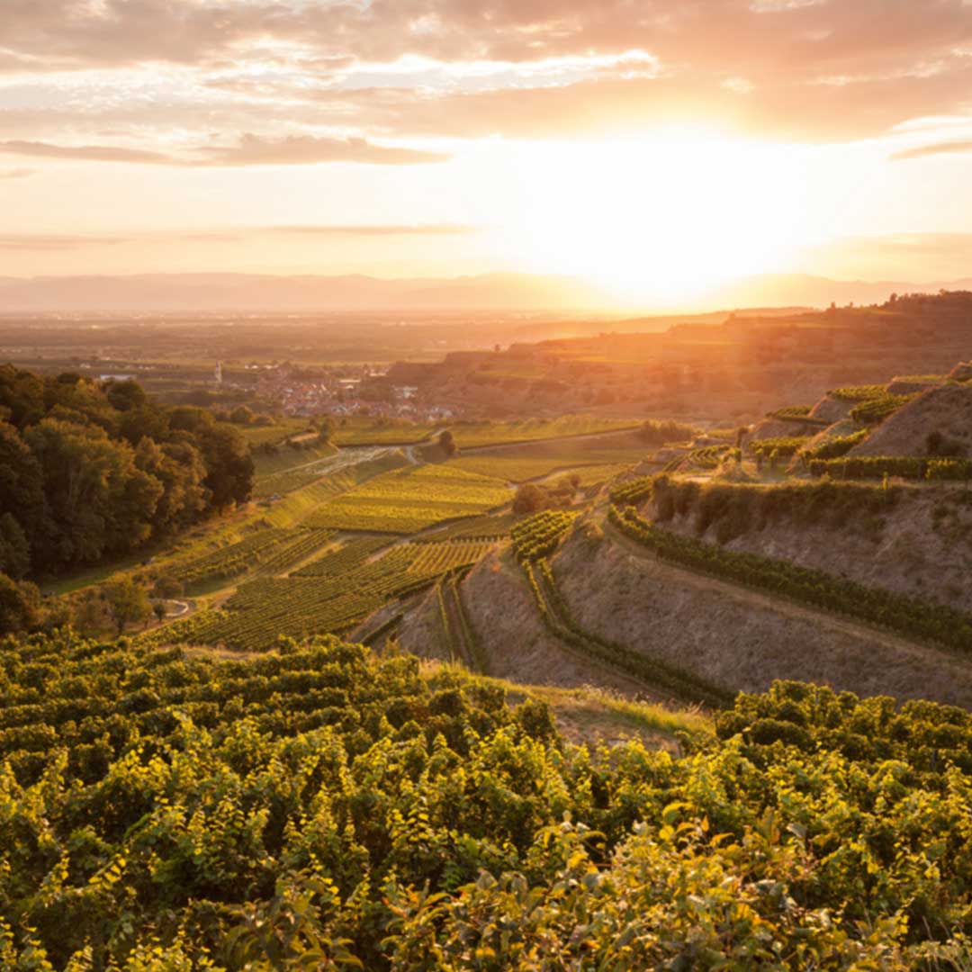 Südglas-Kaiserstuhl